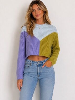 Sincerely Jules Colorful Multicolor Knit Cropped Pullover Sweater Size S